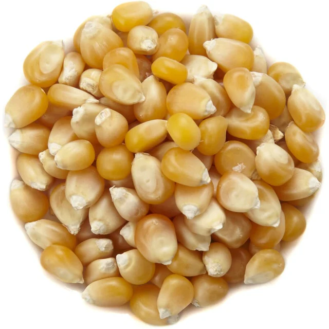 MAÏS POP CORN 500GR