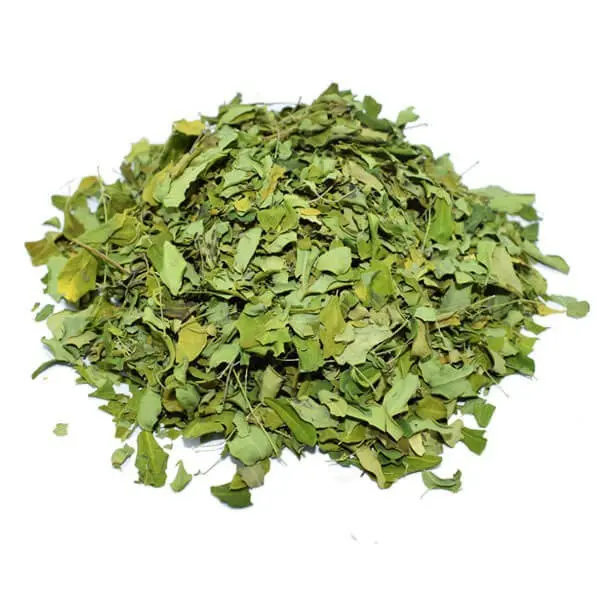 MARINGA FEUILLES SECHEES