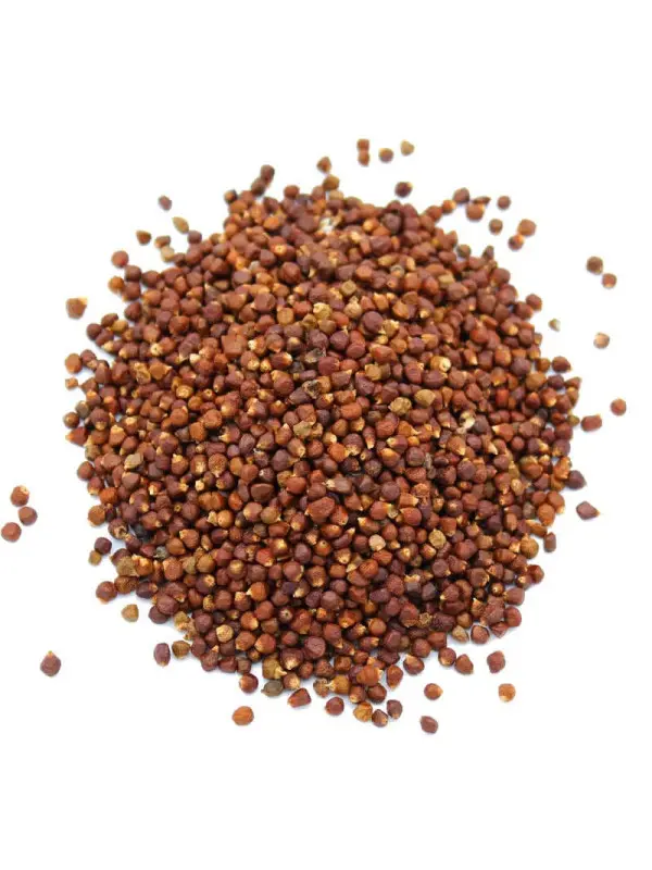 MANIGUETTE (POIVRE DE GUINEE)