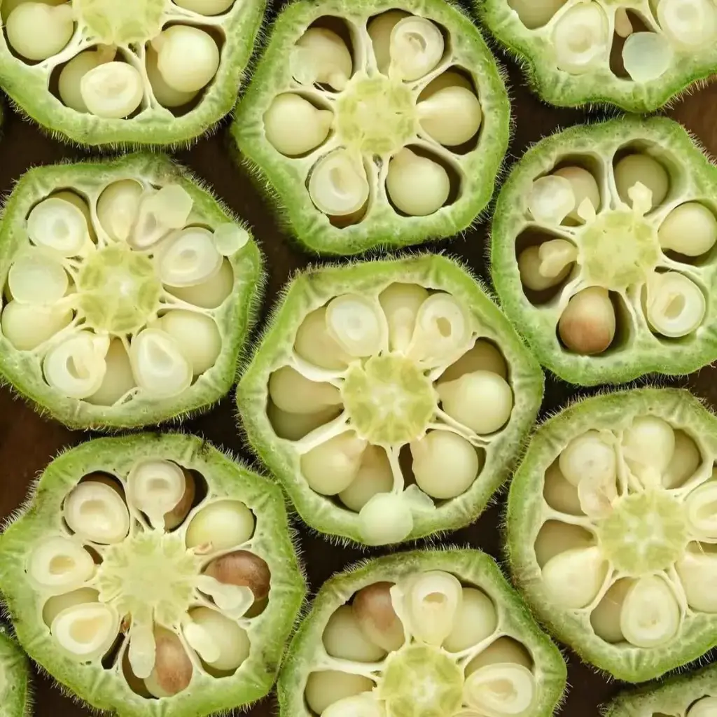 OKRA CUT 500GR