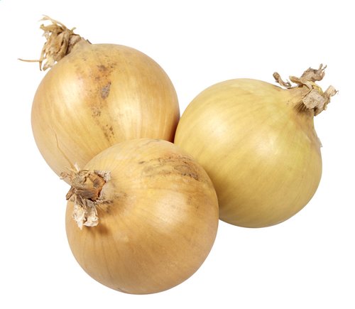 OIGNONS /KG