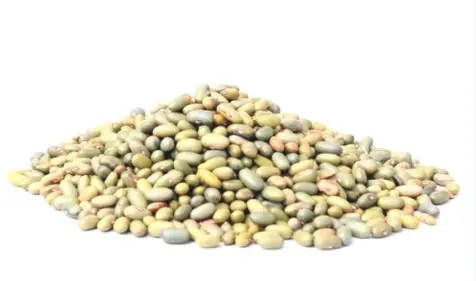 HARICOT JAUNE VERT GOMA