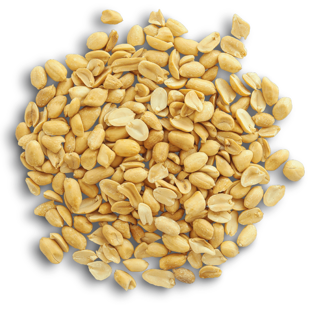 KASANA CACAHUETES GRILLEES SALEES 180GR