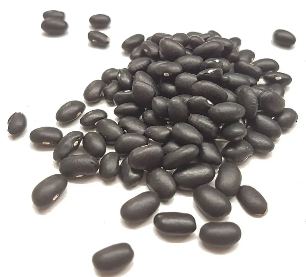 HARICOTS NOIR 1KG