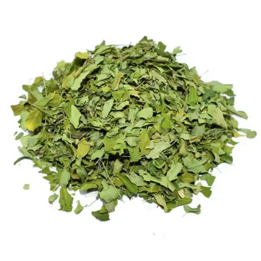 MARINGA FEUILLES SECHEES
