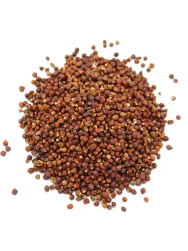 MANIGUETTE (POIVRE DE GUINEE)