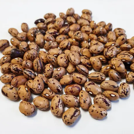 HARICOT COCO ROSES 1KG