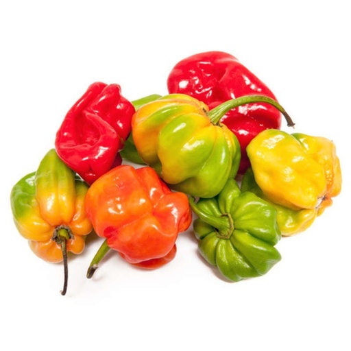 PIMENT FRAIS /KG