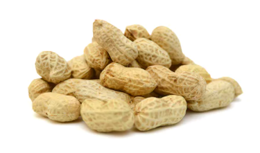 ARACHIDES FRAICHES /KG