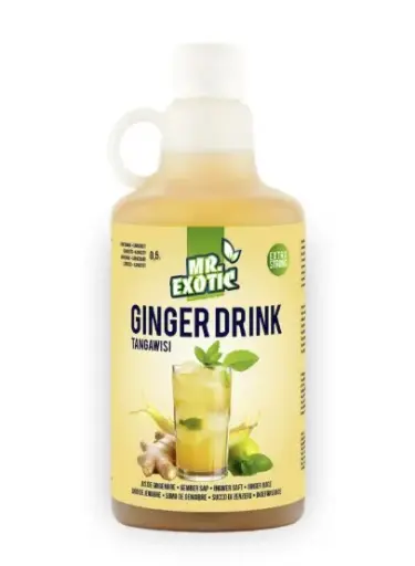 MR EXOTIC GINGER DRINK 500ML